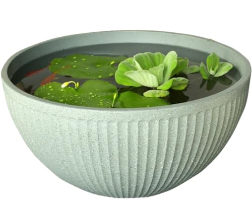 超貴重メダカ鉢 超貴重メダカ鉢